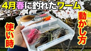 【バス釣り】4月春おすすめワーム!!ルアーの使い方や動かし方を解説してみた【プリスポーン】【スポーニング】【ラバージグ】【ミドスト・ホバスト】【ブルフラット】