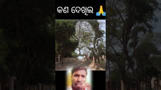 ହଁ ସାଙ୍ଗ ମାନେ।। କଣ ଦେଖିଲେ।। ଚମତ୍କର।।#odia#song #odisha #jay #sadsong #jayjagannath #newsong