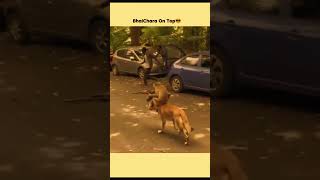 Jab Monkey ke haath mein AK-47 aa jaye... 😂#funny #video #youtubeshorts