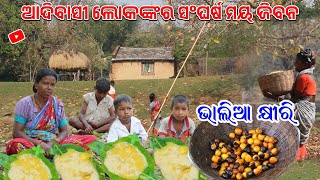 ଭାଲିଆ କ୍ଷୀରି ||ଆଦିବାସୀ ଲୋକଙ୍କର ସଂଘର୍ଷ ମୟ ଜିବନ || @hirasingh9408