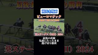 【競馬】ピューロマジック【葵ステークス2024】#shorts #競馬 #葵ステークス #ピューロマジック #競馬予想はショート動画に #京都競馬場