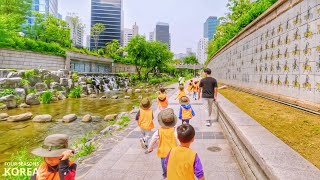 SEOUL 4K | 평일 너무나도 화창한 날 청계천, 광화문광장 산책 | Walk around Cheonggyecheon Stream and Gwanghwamun Square