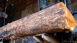 Incredible Teak Wood Cutting Skill, out of the woods sawmill