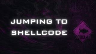 Corelan Exploit Writing Series: Jumping To Shellcode