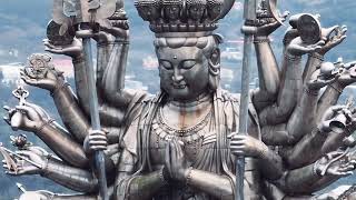 淡水千手觀音  Freshwater Thousand-handed Avalokitesvara  Taiwan