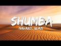 Navaro, uLazi - (Shumba Revisit)