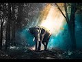 Relaxing Sleep Music | Deep Sleeping Music, Stress Relief, Meditation Music | SVFilmFactory