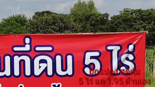 คุ้มโลกตะลึง 5 ไร่ แค่ 1.95 ล้านเอง เหนือคำบรรยาย #ขายที่ดินราคาถูกสุพรรณบุรี