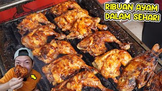 AYAM BAKARNYA BEDA DARI YANG LAIN COII - BISA NGABISIN RIBUAN AYAM DALAM SEHARI...