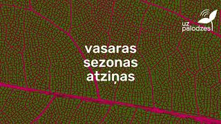 #4: vasaras sezonas atziņas