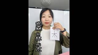 Easy to learn Chinese characters 木 林 森