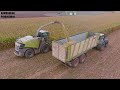 mais 2023 black claas xerion 5000ts vs fendt 942 agrarlohn müritz claas jaguar 990 unimog 4k