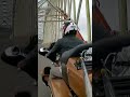 jembatan Tayan Sanggau Kalbar #motovlog #travellers