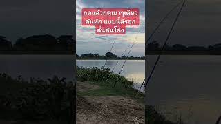 รอกลั่นคันโก่ง #fishing #fb #มาแรง #ตกปลายี่สก #หมายเด็ด #แคมป์ปิ้งตกปลา #ตกปลาหน้าดินหมายธรรมชาติ