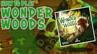 Wonder Woods | How To Play | Learn to Play in 4 Minutes!