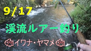 渓流ルアー釣り（イワナ・ヤマメ）いつもの川の支流で秋ヤマメ釣れた！！