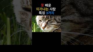 못 배운 티가나는 사람 특징 3가지 #명언 #삶의지혜 #인생명언 #인생조언 #쇼츠