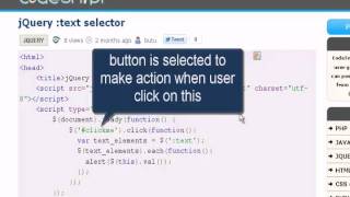 JQUERY Tutorial : jQuery text selector
