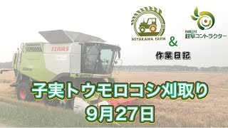 R4 子実トウモロコシ刈取り