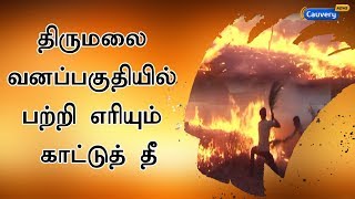 திருமலை வனப்பகுதியில் பற்றி எரியும் காட்டுத் தீ | Tirupati