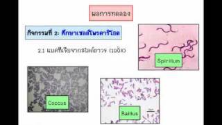 Lab Bio Utk - Chapter 02