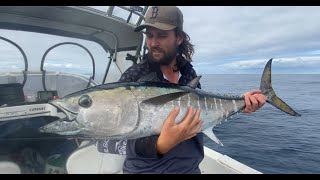 AMAZING Topwater Bluefin Tuna!! 15 fish landed in one day in Bass Strait