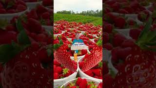 strawberry #fruits #memes #short #pleasesubscribe