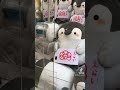 【クレーンゲーム】乱獲しすぎてペンギンまみれの生活を送ってました。 shorts クレーンゲーム