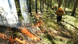 Forscher machen Klimawandel verantwortlich für Hitze in Sibirien | AFP