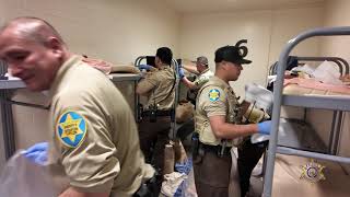 MCSO Jail Search