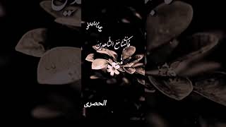 إيماننا يقين ومكرهم هباء..والله خير الماكرين #الحصري #القران #shorts