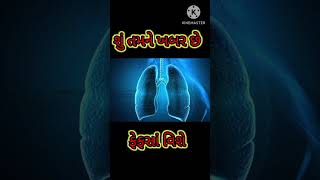 #lungs ની રહસ્યમય જગ્યા: આપની આશ્ચર્ય પુરી થશે જ્યારે આપ