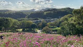 神戸市営地下鉄6000形 西神中央行 総合運動公園駅〜名谷駅