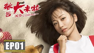 【励志】《警犬来啦 K9 Coming》第01集——木棉梁粤初次见面 警犬初来乍到吓坏警员