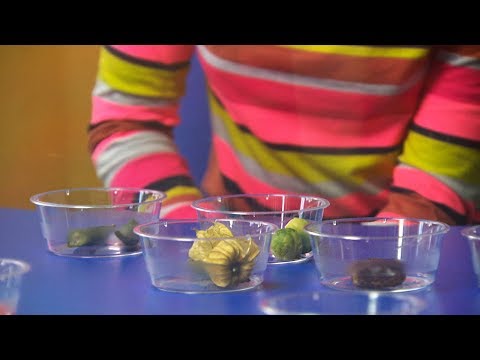 Childhood Taste Test Horizon The Truth About Taste Earth Lab