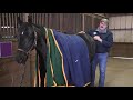 the masterson method hind end release