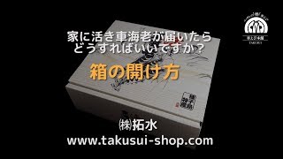 活き車海老が届いたら...「箱の開け方」 by 車えび本舗 拓水