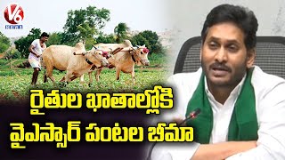 AP Govt Release Free Crop Insurance Amount In 15 Lakh Farmers Accounts | V6 News