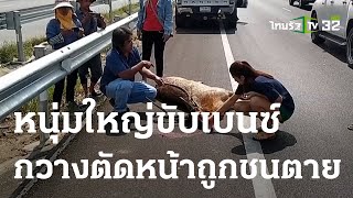 หนุ่มขับเบนซ์ งงกวางใครกระโดดตัดหน้าถูกชนตาย | 02-05-66 | ข่าวเที่ยงไทยรัฐ