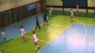 Ball Steals in Defence- Individual and Group Exercise by Monique Tijsterman
