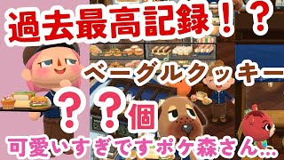 【ポケ森】可愛くてお洒落だと⁈大変な結果になりました🥹ハッピーバレンタイン💘ベーグルクッキー🥯過去最高に食べてます【ポケットキャンプどうぶつの森】