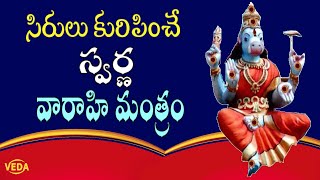 స్వర్ణ వారాహి మంత్రం | Swarna Varahi Mantra