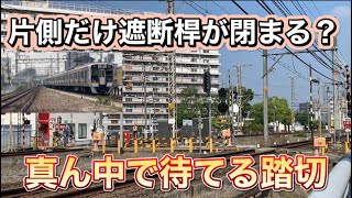 南海高野線にある上下線の真ん中に退避出来る踏切で撮影してきました！