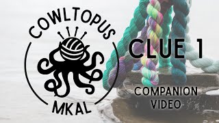 Cowltopus Mystery Knit-a-long: Clue 1 Tips and Tricks