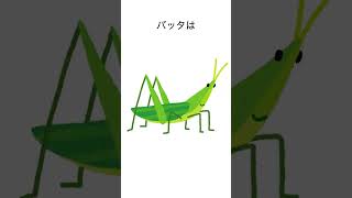 昆虫の知られざる生態　#雑学 #shorts