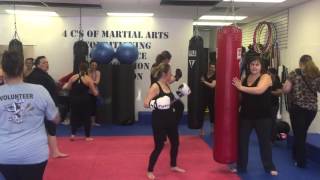 Mom and Baby Active - Kickboxing - April 11, 2016 1