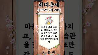 오늘의 쥐띠 운세 2025년 2월 20일 #쥐띠 #오늘의운세 #내일의운세 #운세 #운세쇼츠