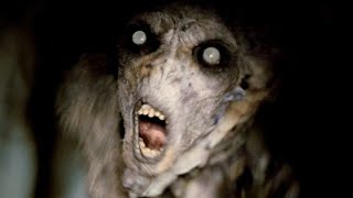 Top 5 Terrifying Discoveries Found Inside The Catacombs