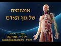 אנטומיה בקורס מדריכים - חלק ראשון