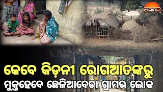 ସ୍ୱଳ୍ପବୟସରେ ସଂସାର ସୁଖହରାଇ ବିଧବାବେଶ ଧରି କୁନିକୁନିପିଲାମାନଙ୍କ ଭୋକବିକଳଦେଖୁଛି ମାଆ କେବେ ଭଲ ହେବ କୀଡୀନ ରୋଗ